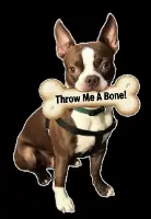 Dog With Bone